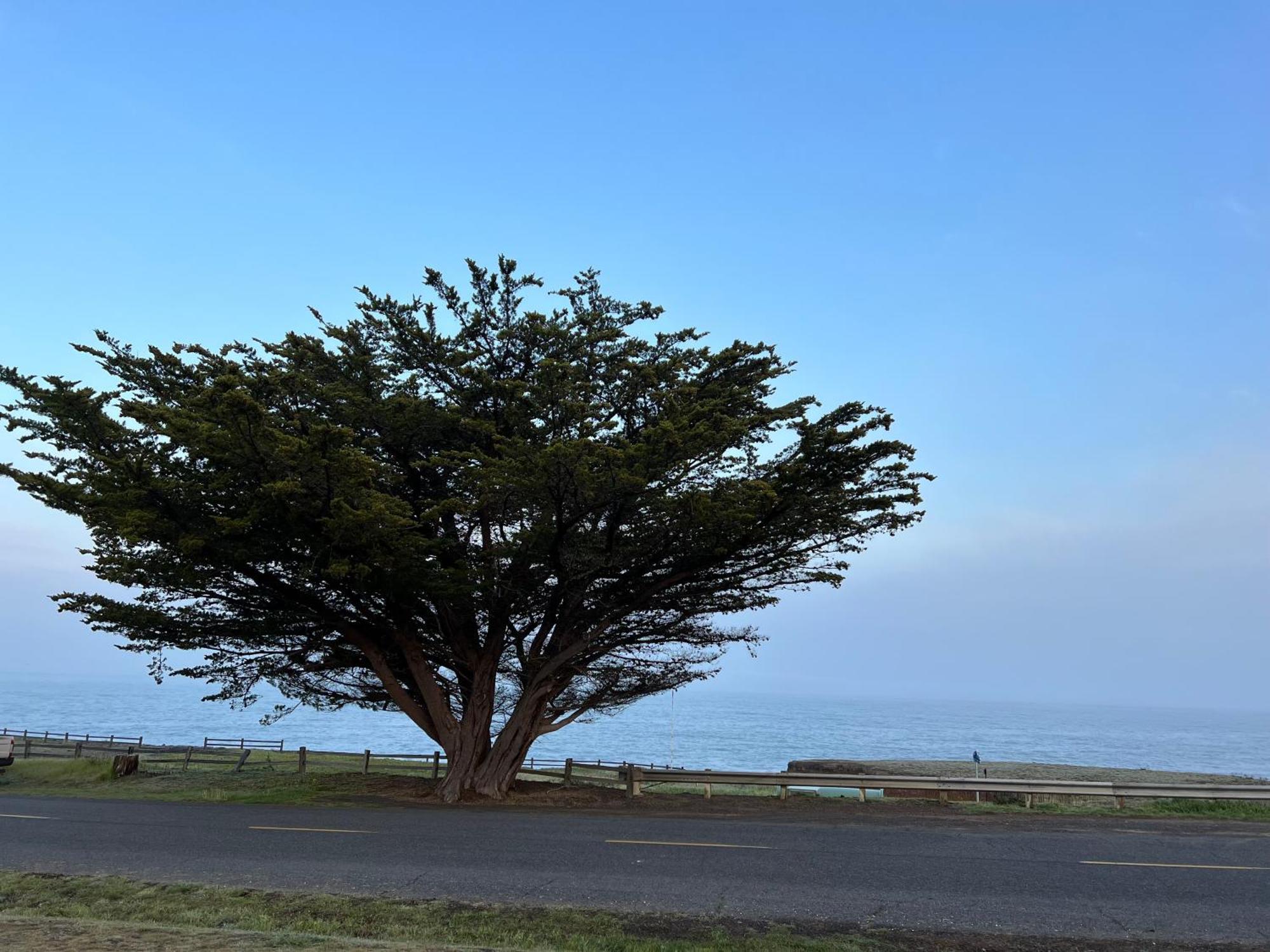 Inn Of The Lost Coast Shelter Cove Εξωτερικό φωτογραφία